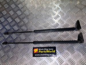 Nissan 370Z Z34 Tailgate Struts (Set)