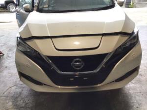 Nissan Leaf ZE1 2018-on Nose Cut (Spec 1)