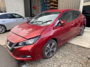 Nissan Leaf ZE1 2018-on LF Door Shell