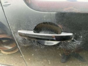 Nissan Pathfinder R51 08/05-12/12 RF Door Exterior Handle