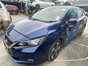 Nissan Leaf ZE1 2018-on LF Guard/Fender