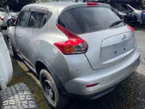 Nissan Juke F15 2012-2014 LR Door Shell