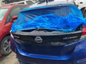 Nissan Leaf ZE1 2018-on Tailgate Moulding